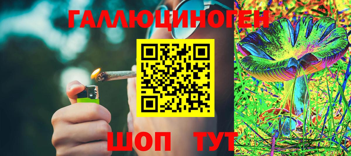 Псилоцибиновые грибы Psilocybine cubensis Волгодонск